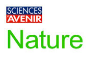 Science & Avenir - Nature