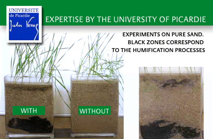 Analyses of local contents within the zones activated by Bactériosol®